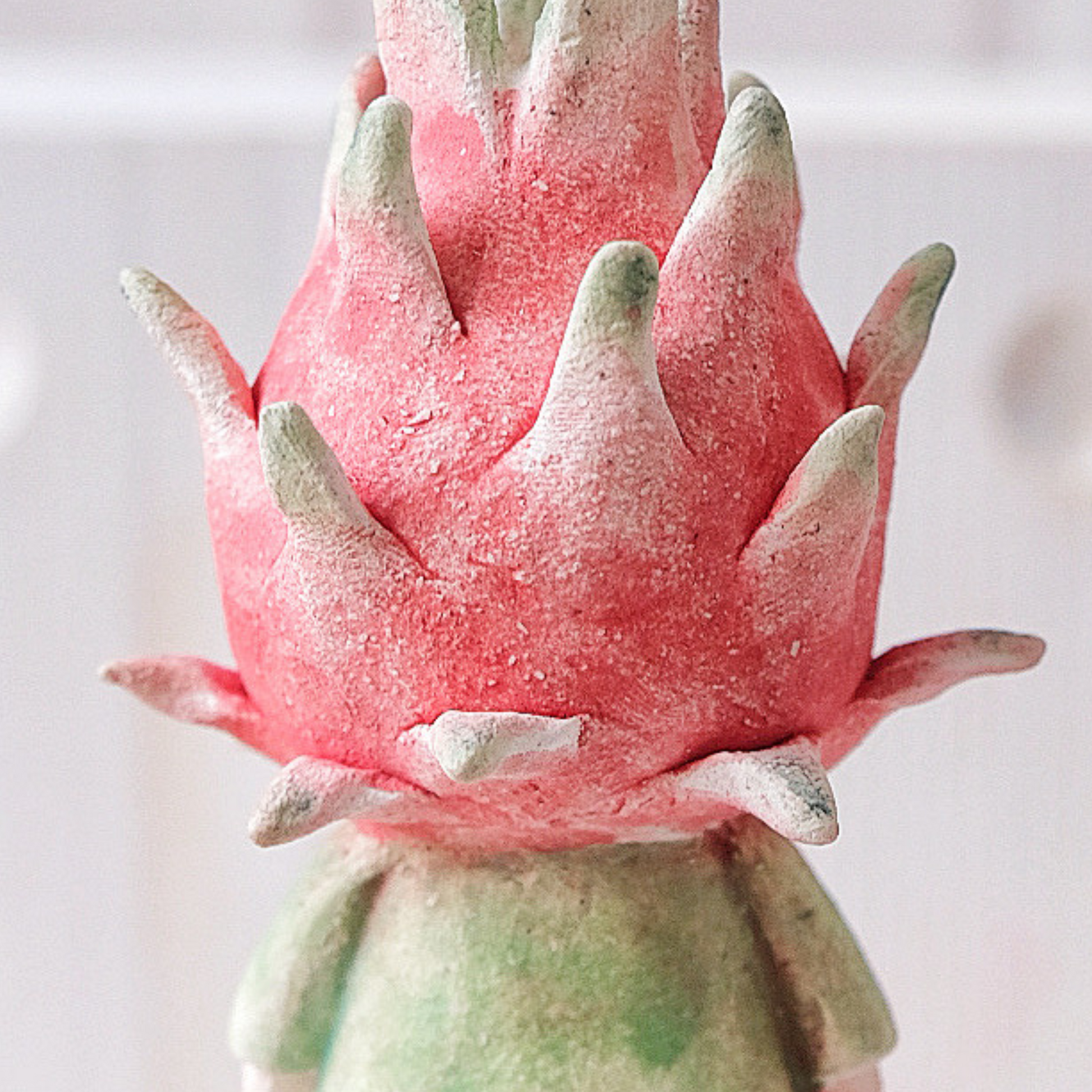 Ms. Pitaya