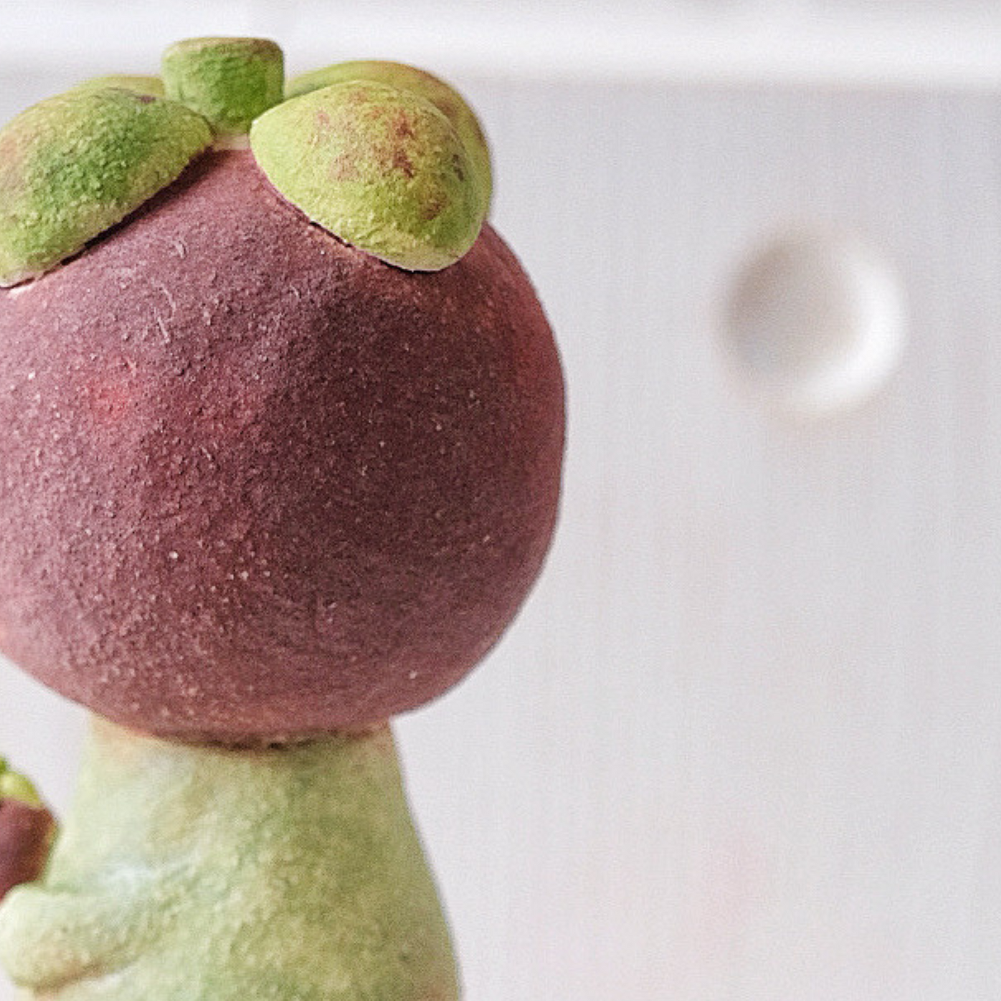 Ms. Mangosteen